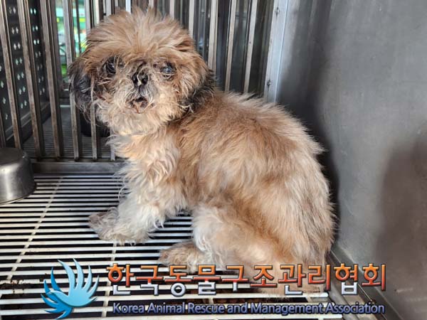 종료(반환) 시츄의…
